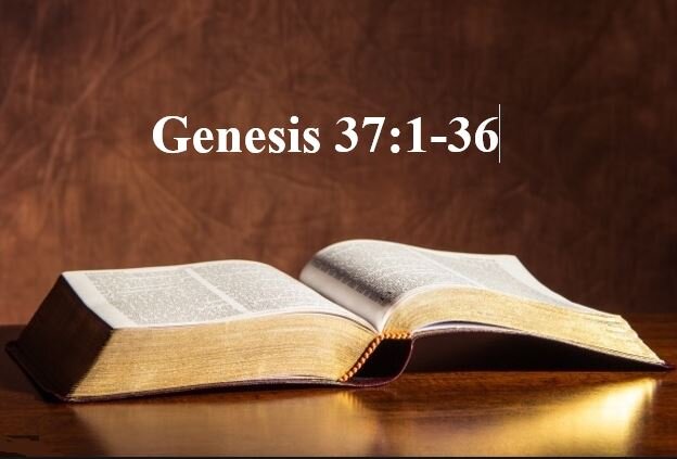 Genesis 37:1-36  — Mistreated and Cast Aside