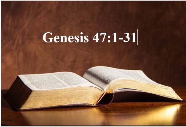 Genesis 47:1-31  — Providential Prosperity in the Midst of Surrounding Poverty