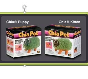 Chia Pet Phenomena Refuses To Die Off