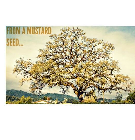 Zechariah 4:10  — Mustard Seed Theology — Size Doesn’t Matter to God