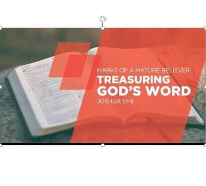 Despising vs Treasuring the Word of God