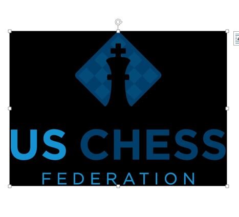 Professional Chess Playing Career Kicks Off
