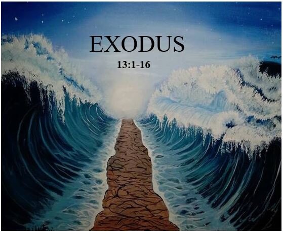 Exodus 13:1-16  — Appreciating Our Deliverance and Redemption