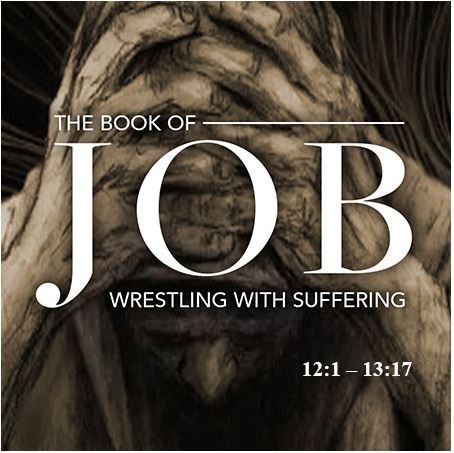 Job 12:1 – 13:17  — Job Complains against His Friends